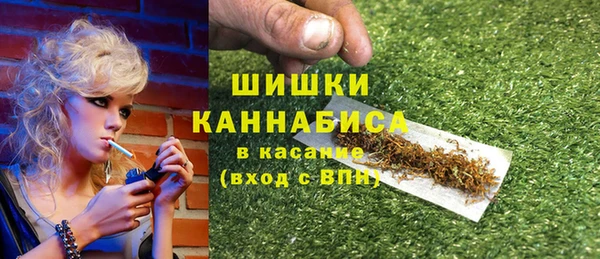 твердый Горняк