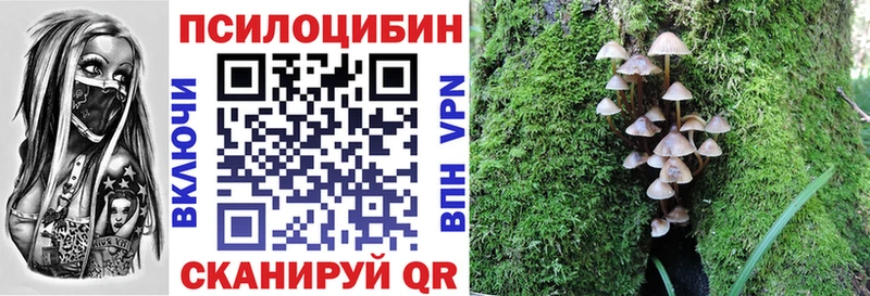 Псилоцибиновые грибы Cubensis  сколько стоит  Губкинский 