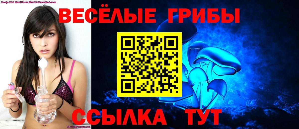 Галлюциногенные грибы прущие грибы  Вход с VPN  Губкинский 